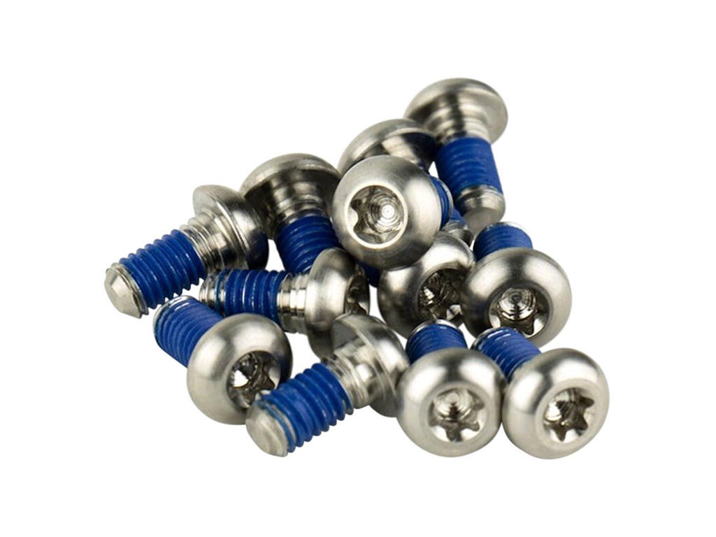 Sram - Rotor bolte i titanium - Silver - 12 stk.