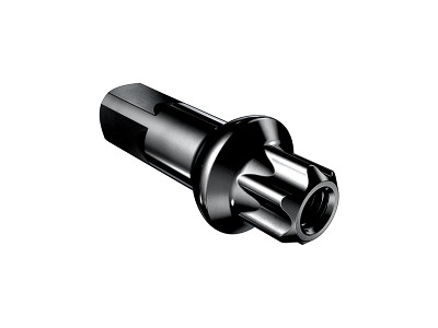 DT Swiss Squorx Pro Head 15 mm x2 mm messing