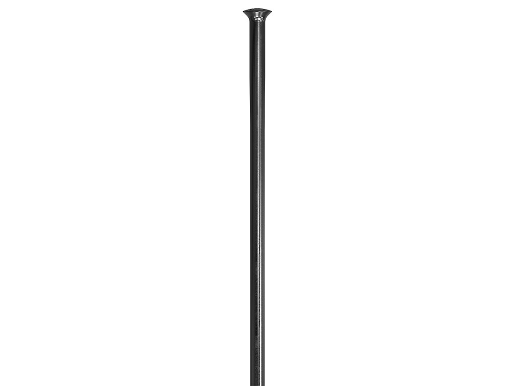 DT Swiss Champion Eger 2,00mm Straight Pull Sort (Egerlængde: 210 mm)