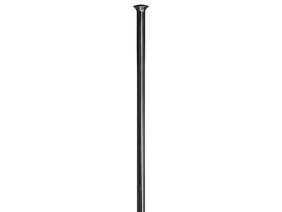 DT Swiss Champion Eger 2,00mm Straight Pull Sort (Egerlængde: 210 mm)