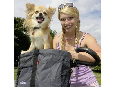 KLICKfix - Doggy - Grå 24 liter