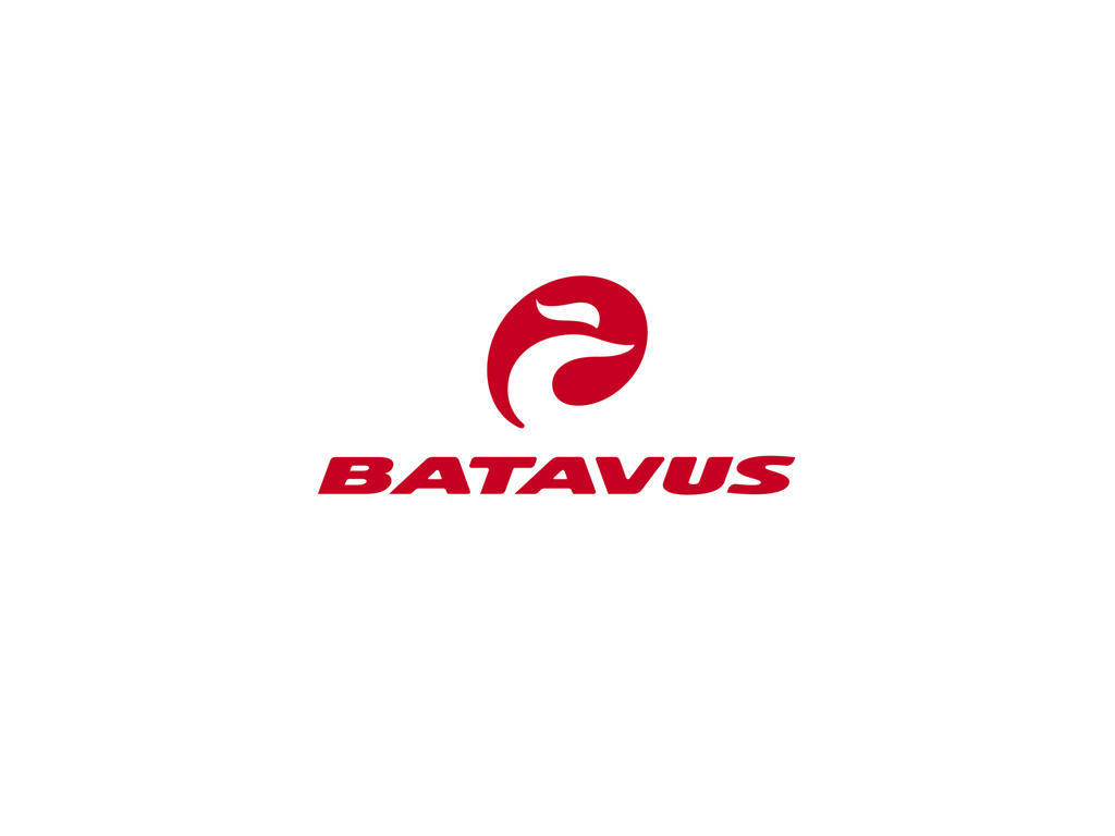 Geardrop til Batavus cykler
