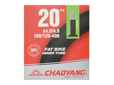 Chaoyang Slange 20x4.0-4.9 AV 48mm