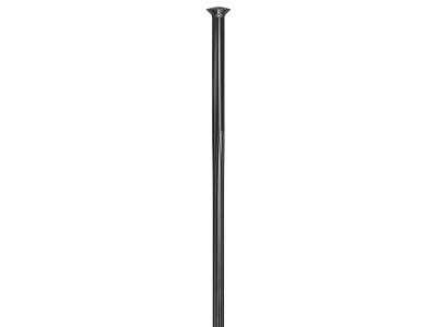 DT Swiss Revolite Straigh Pull eger sort (Egerlængde: 300 mm)