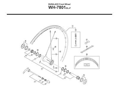 Shimano kuglering til forhjul WH7801-SL