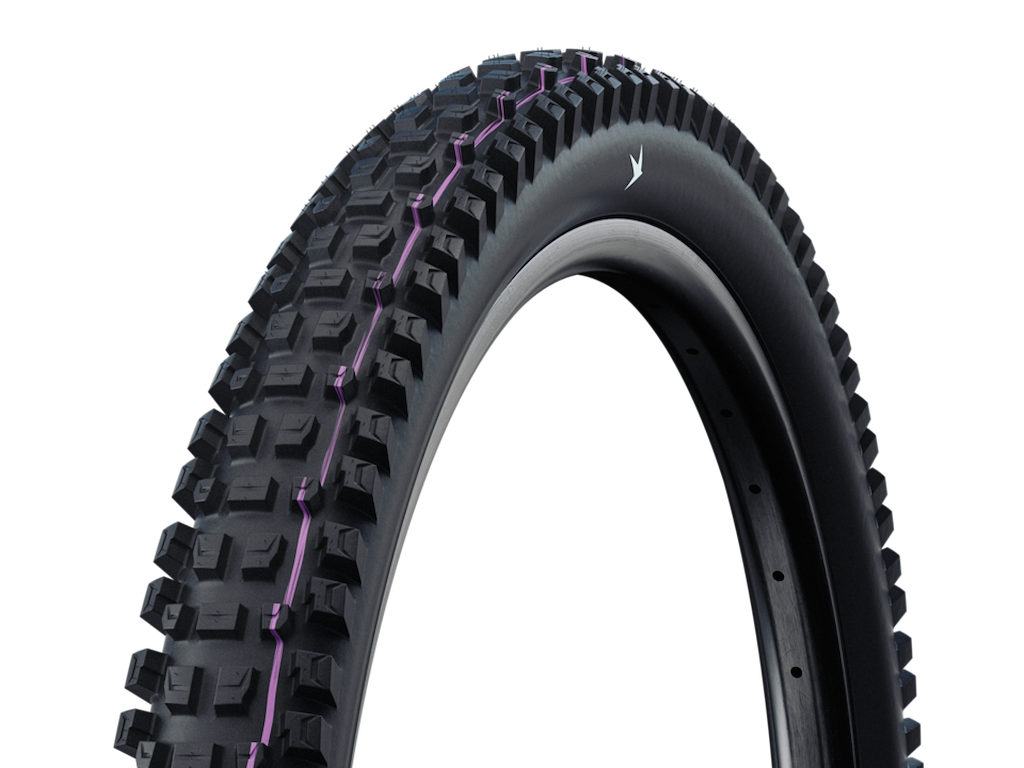 Schwalbe Albert Radial Gravity Pro TLR ultra soft foldedæk 29x2,50 (63-622) E-50
